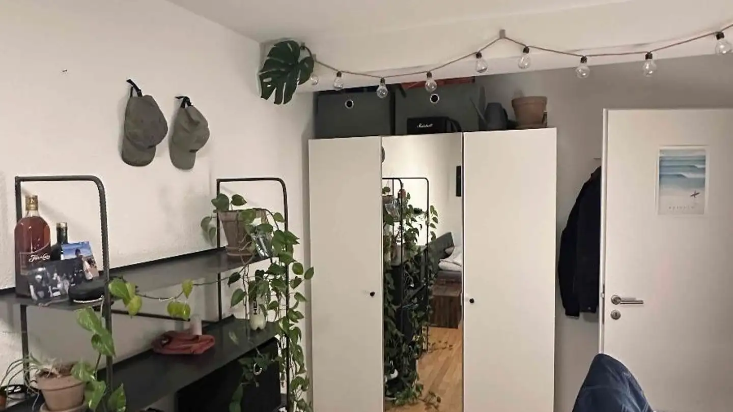 Chambre à louer - Langstrasse 231, 8005 Zürich - Photo 2