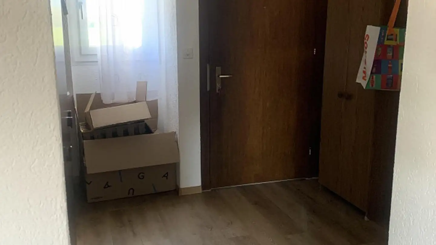 Appartamento in affitto - Merzenäckerstrasse 1, 9463 Oberriet SG