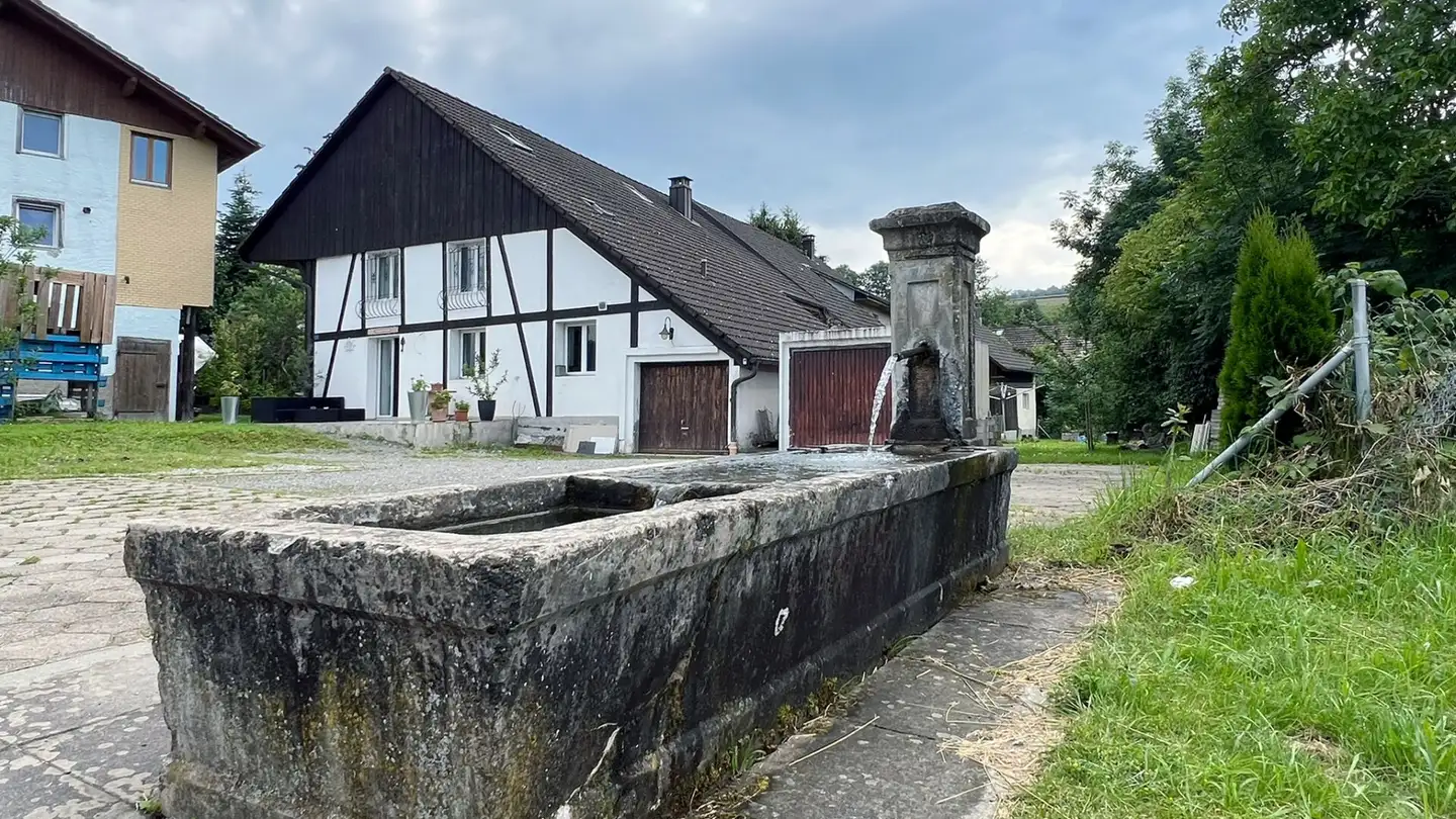 Casa singola in vendita - Dorfstrasse 4, 5725 Leutwil - Photo 3