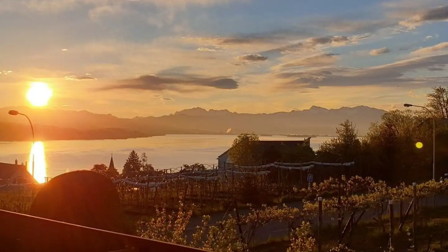 Apartment for rent - Speerstrasse 41, 8820 Wädenswil - Photo 2