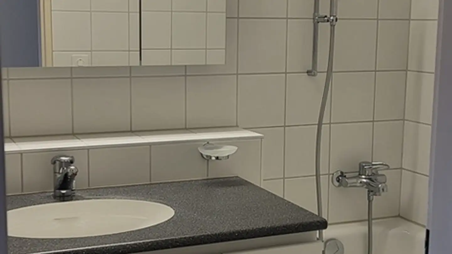 Appartamento in affitto - Im Isisbüel 1, 8800 Thalwil - Foto 4