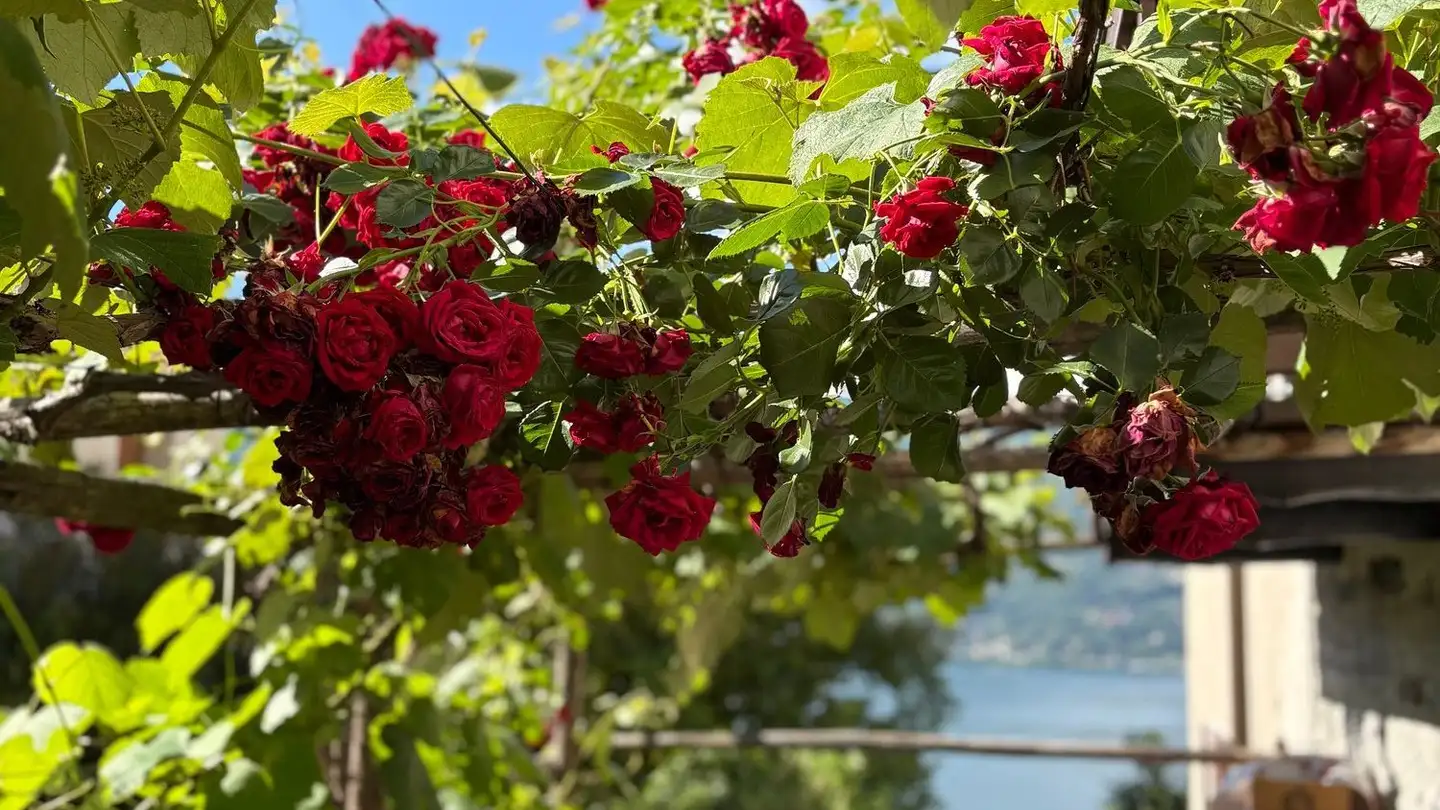 Single house for sale - La Stráda Dal Castèl 20, 6574 Vira (Gambarogno) - Photo 4