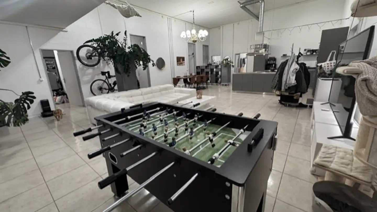 Loft for rent - Seegartenstrasse 10, 8353 Elgg - Photo 4