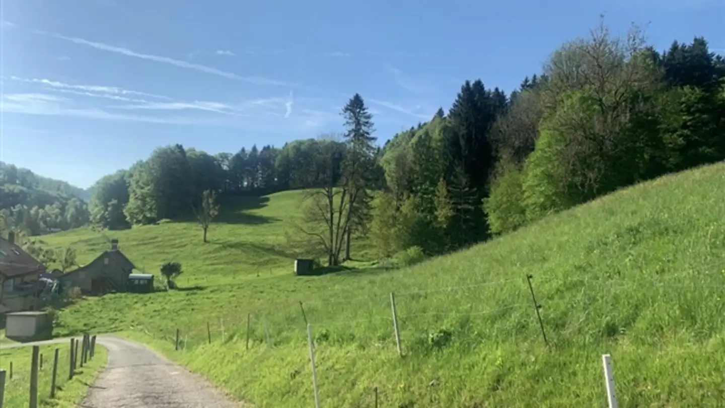 Single house for sale - 1337 Vallorbe