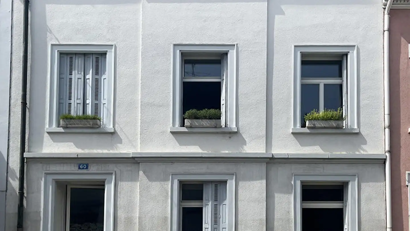 Maison individuelle à vendre - Socinstrasse 60, 4051 Basel - Photo 2