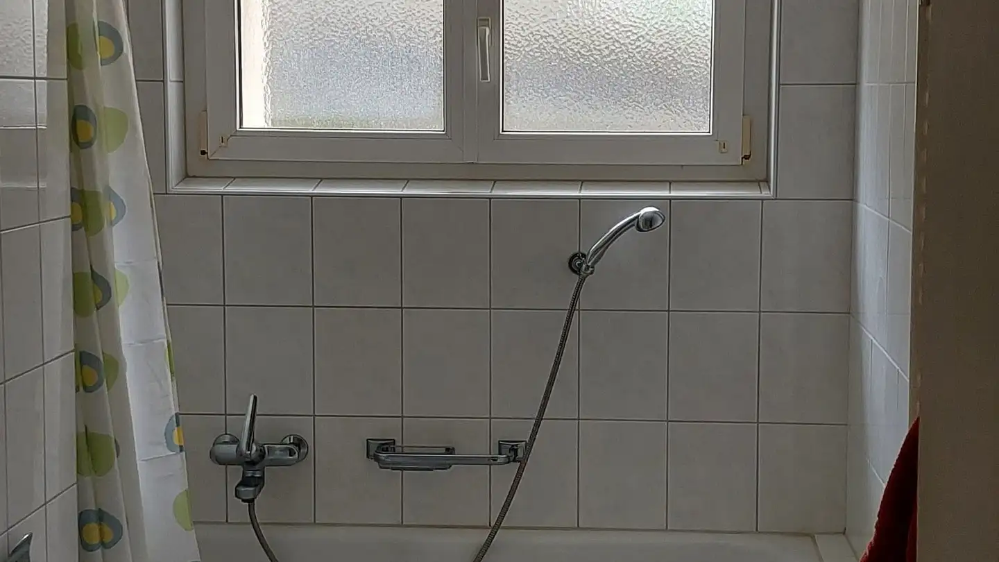 Apartment for rent - 8240 Thayngen - Photo 3