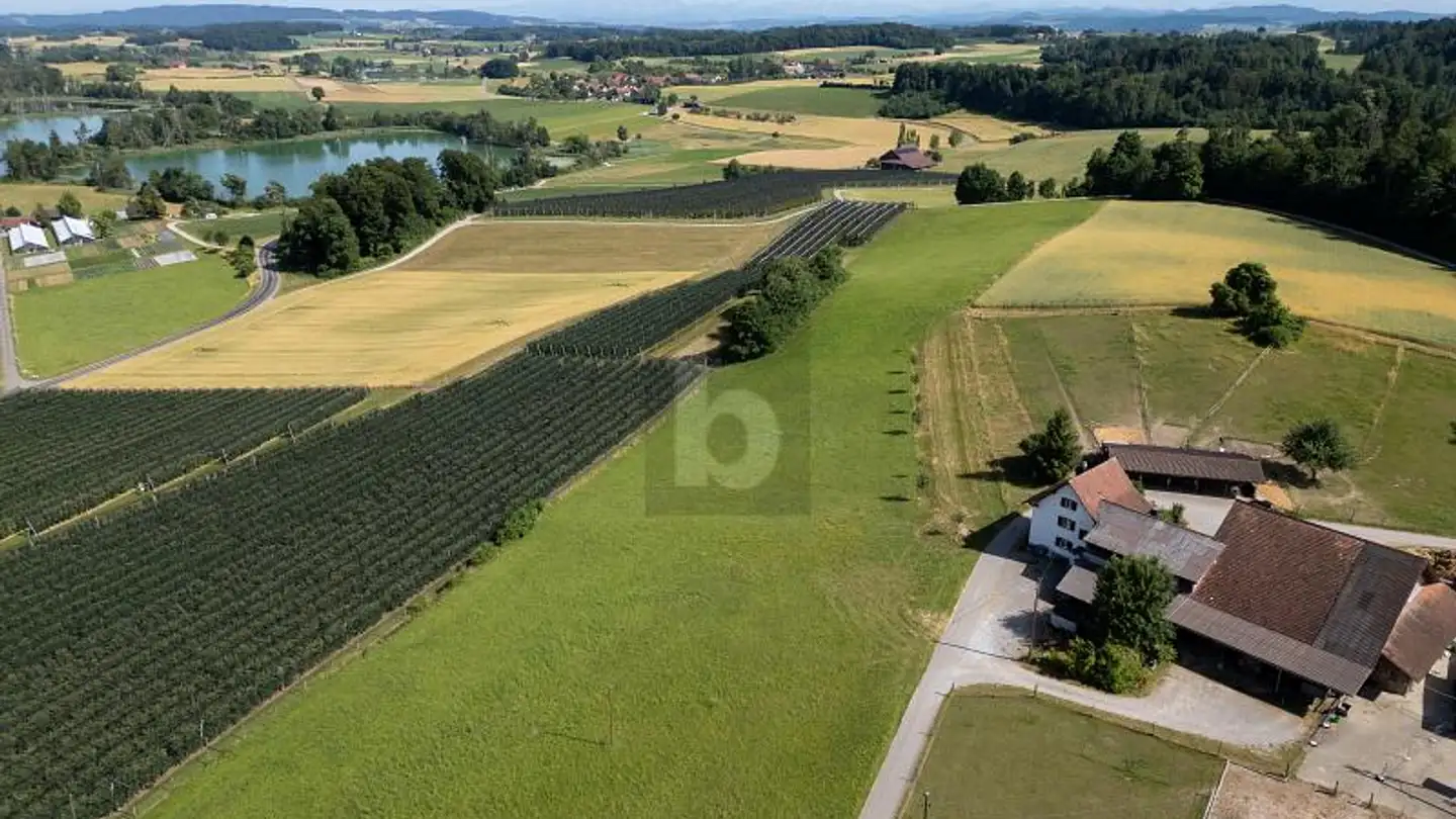 Ferme à louer - 8477 Oberstammheim