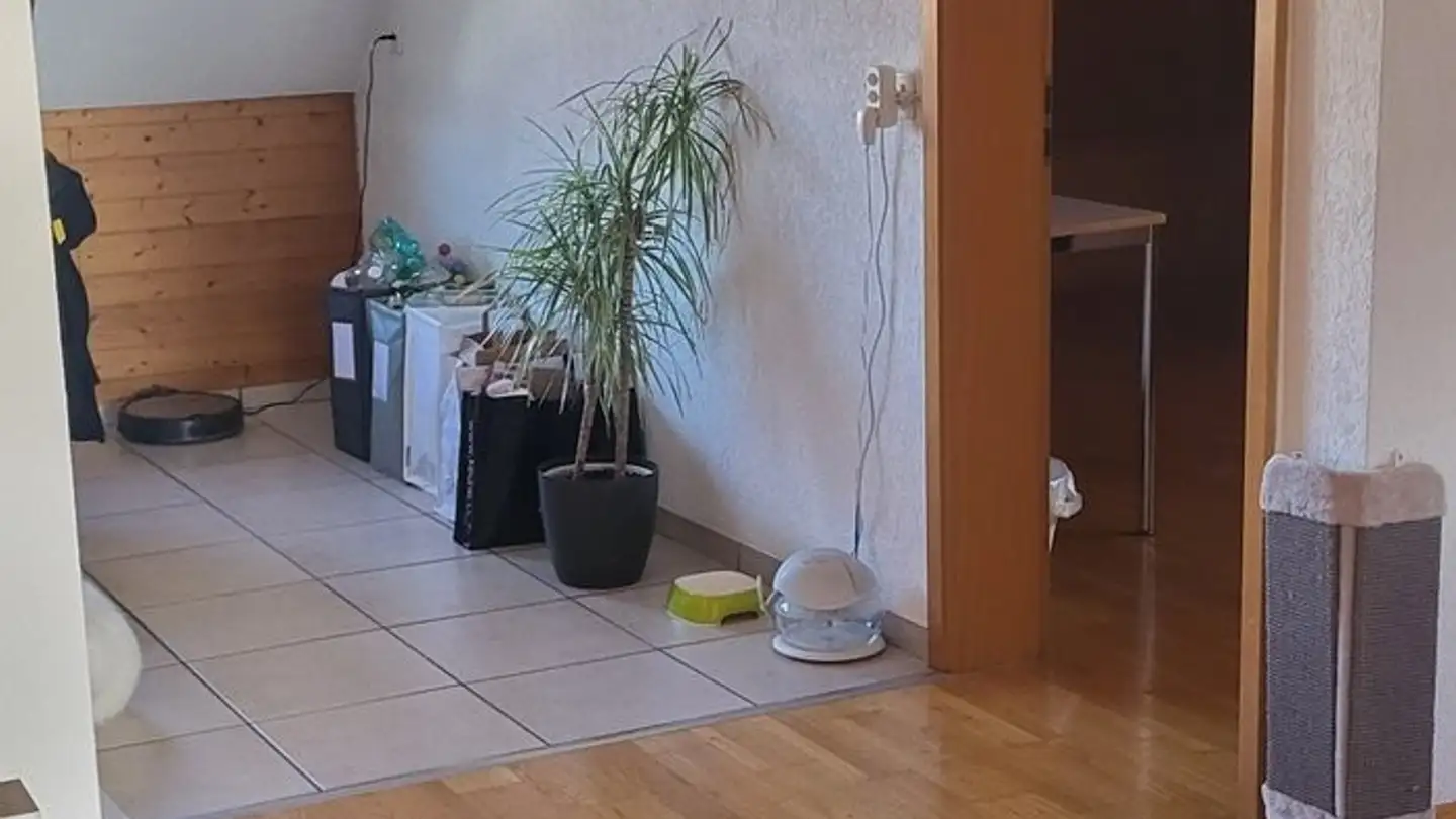 Appartamento in affitto - Dorfstrasse 19, 5242 Lupfig - Foto 4