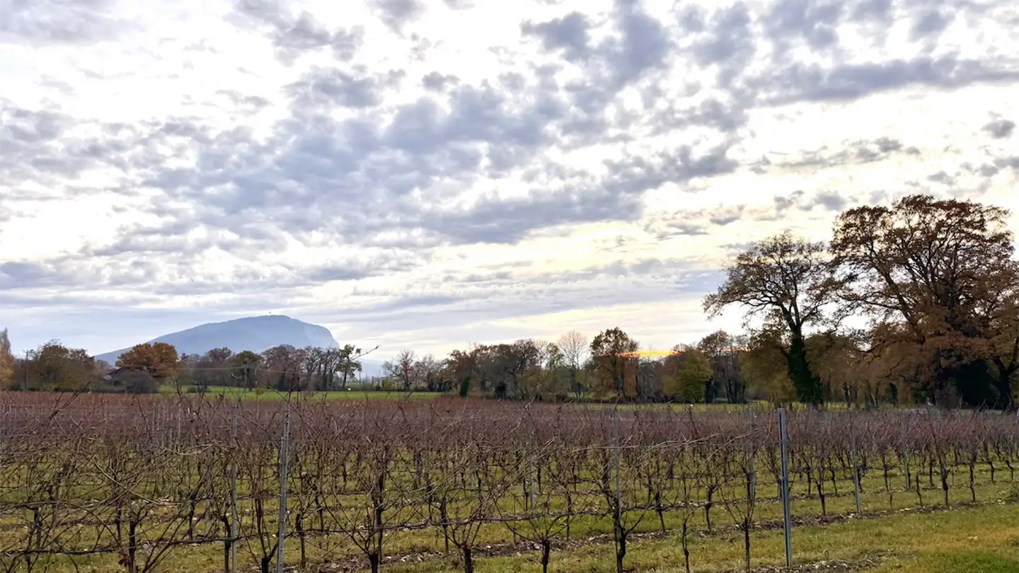 Villa kaufen - 1243 Presinge - Foto 4