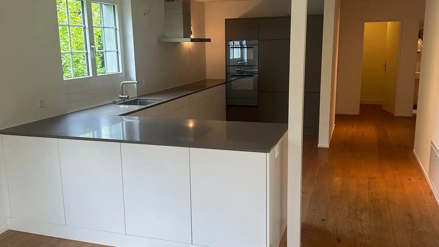 Appartamento in affitto - 8810 Horgen