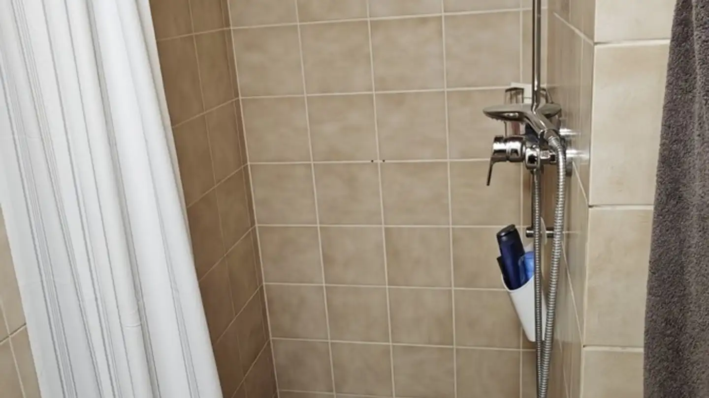 Commercial à louer - Brunnenwiesenstrasse 19, 8172 Niederglatt ZH - Photo 2