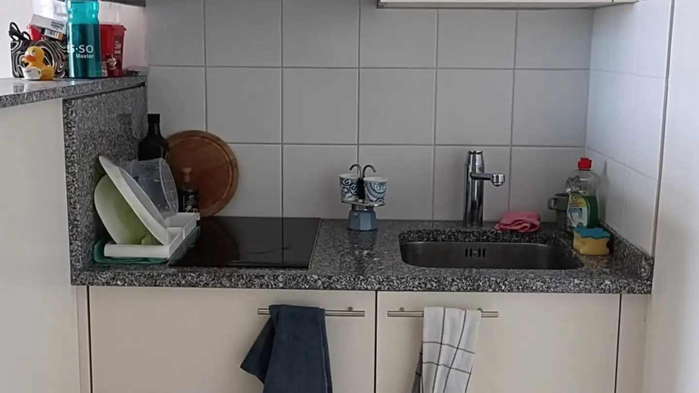 Wohnung mieten - Avenue De Granges-Paccot 4, 1700 Fribourg - Foto 4