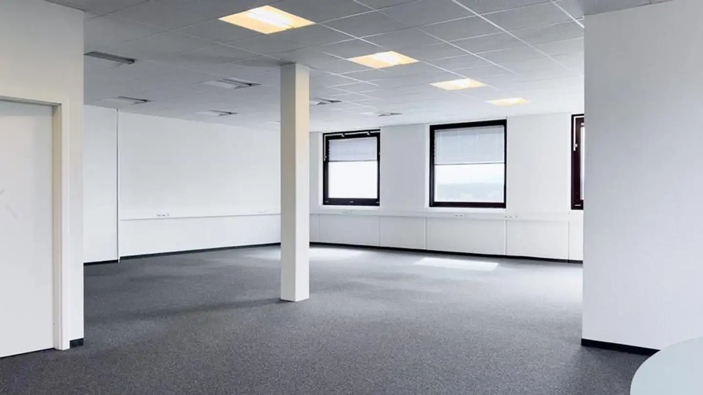 Spazio ufficio in affitto - Rue Du Pré-De-La-Fontaine 19, 1242 Satigny - Foto 4