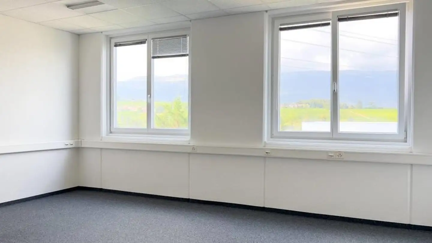 Spazio ufficio in affitto - Rue Du Pré-De-La-Fontaine 19, 1242 Satigny - Foto 2