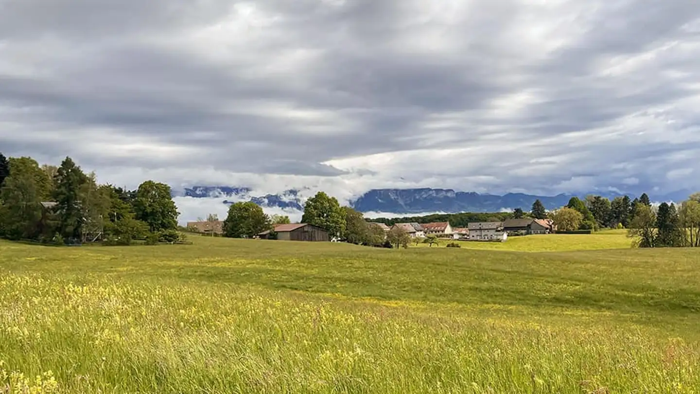 Maison individuelle à vendre - 1066 Epalinges - Photo 3