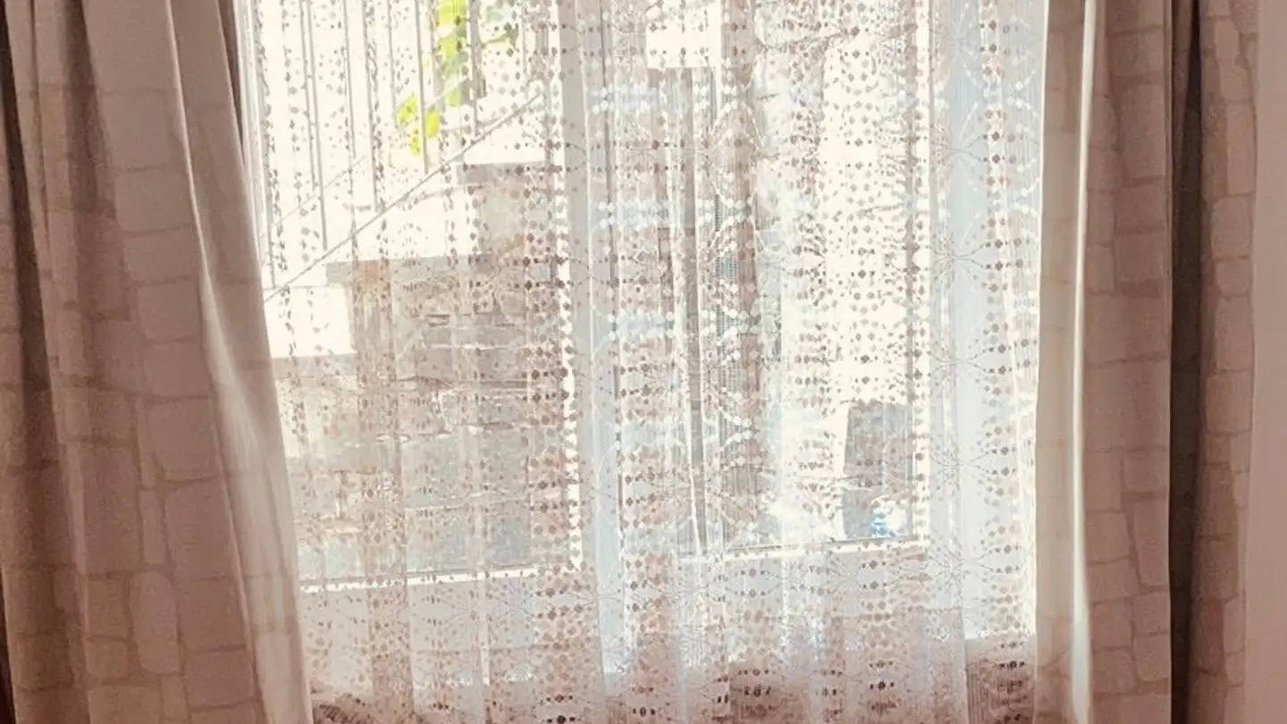 Apartment for rent - 6645 Brione sopra Minusio - Photo 4