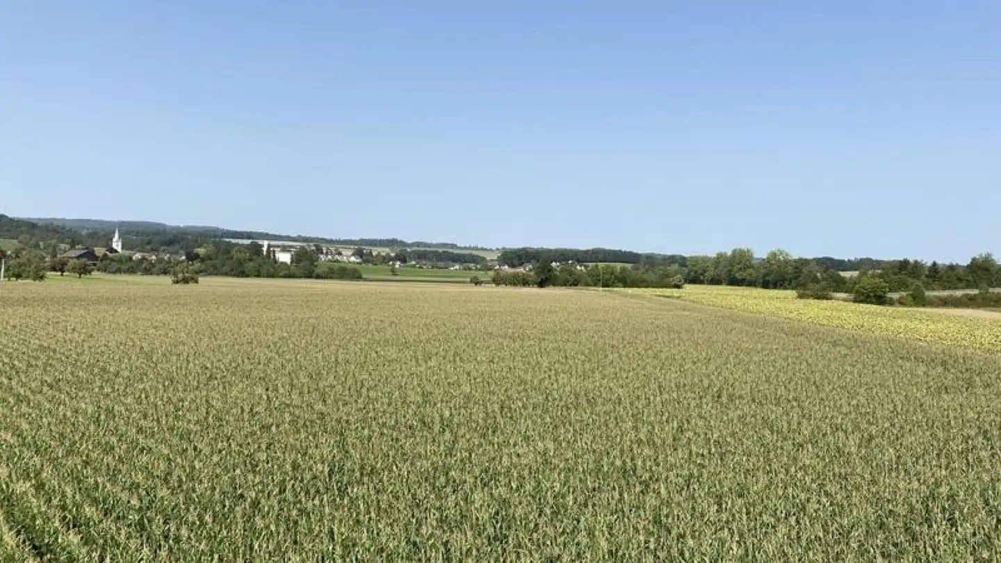 Casa singola in vendita - Haslistrasse, 8555 Müllheim Dorf - Photo 4