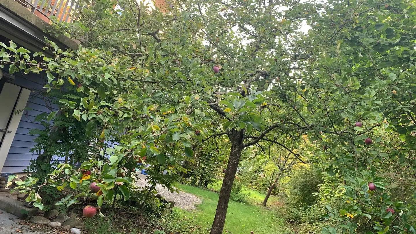 Appartamento in affitto - Hubelhüsistrasse 12, 3147 Mittelhäusern - Photo 2