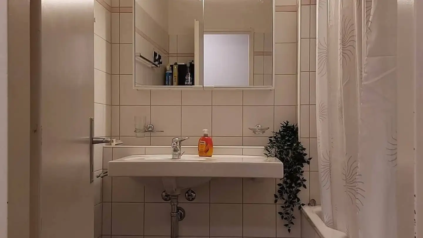 Chambre à louer - Im Drisgi 20, 8626 Ottikon (Gossau ZH) - Photo 3