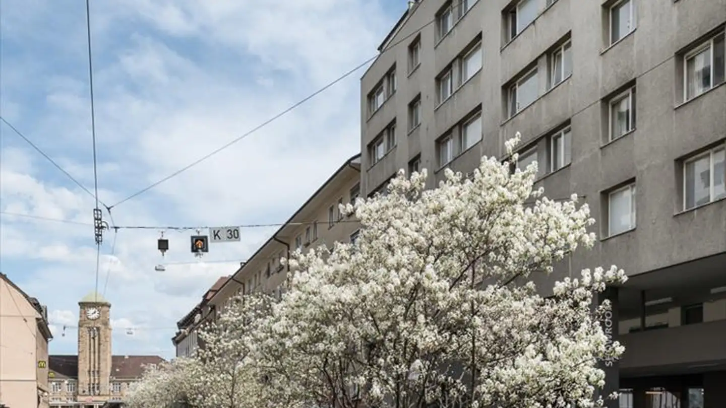 Wohnung mieten - Rosentalstrasse 50, 4058 Basel