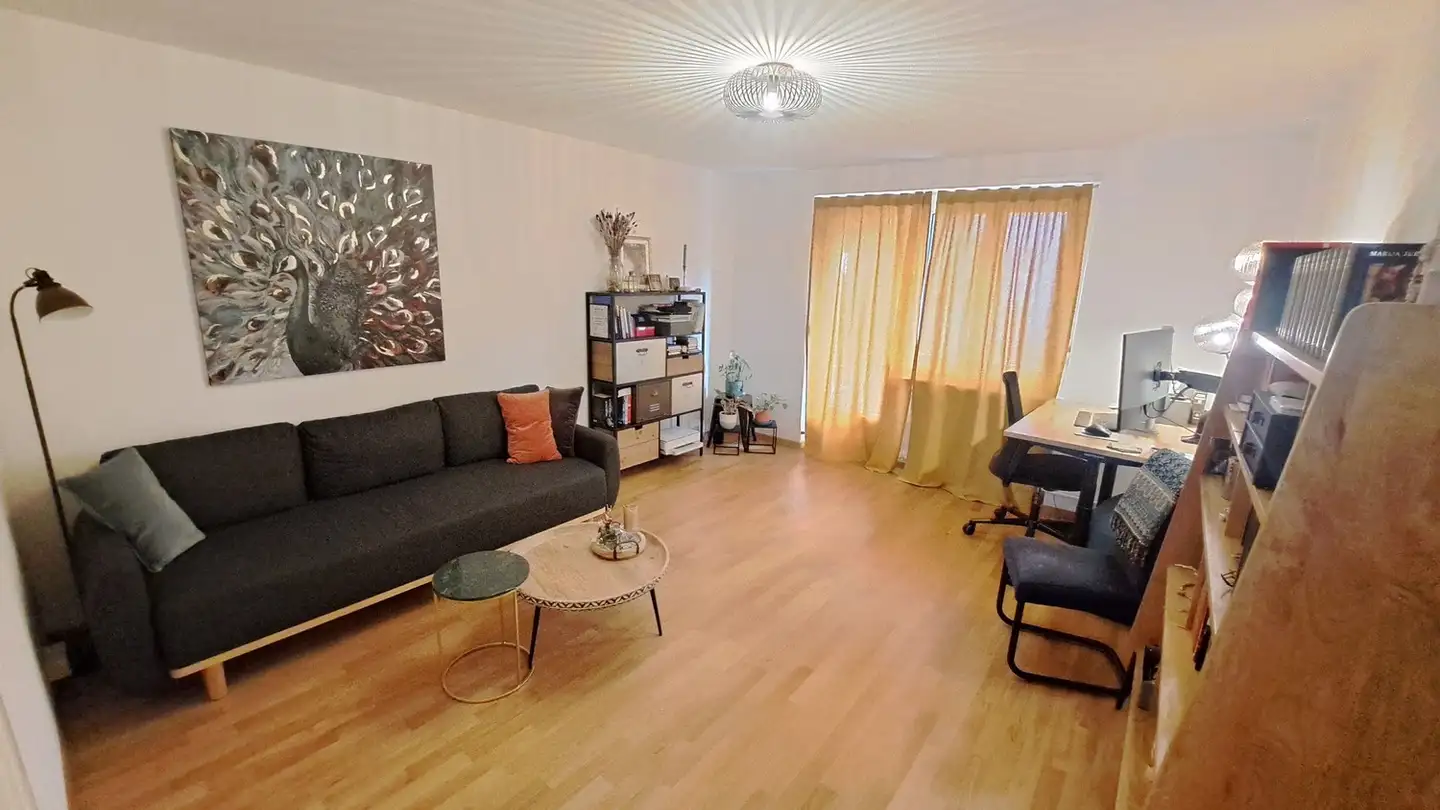 Appartamento in affitto - Döltschiweg 53, 8055 Zürich