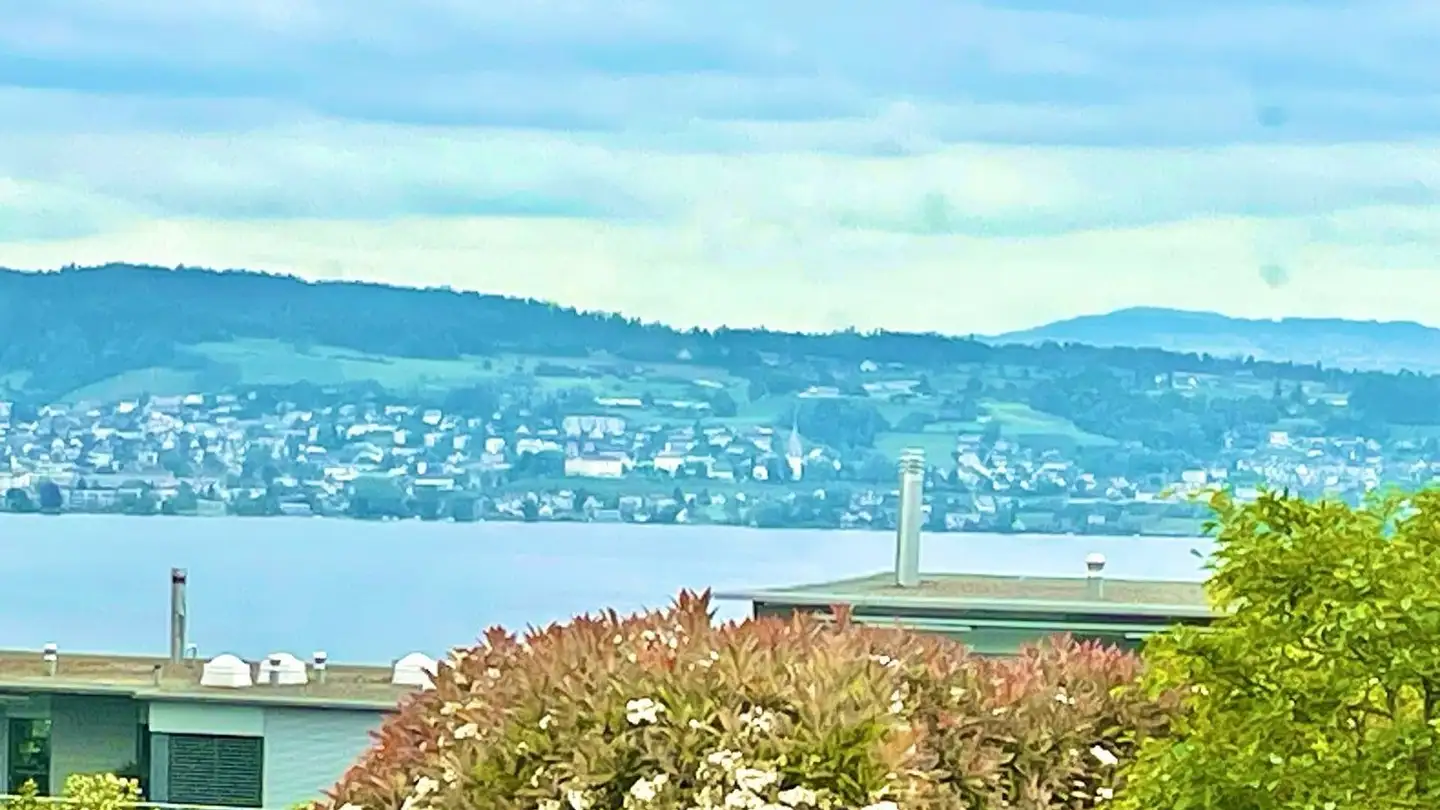 Wohnung mieten - Mülibachstrasse, 8805 Richterswil