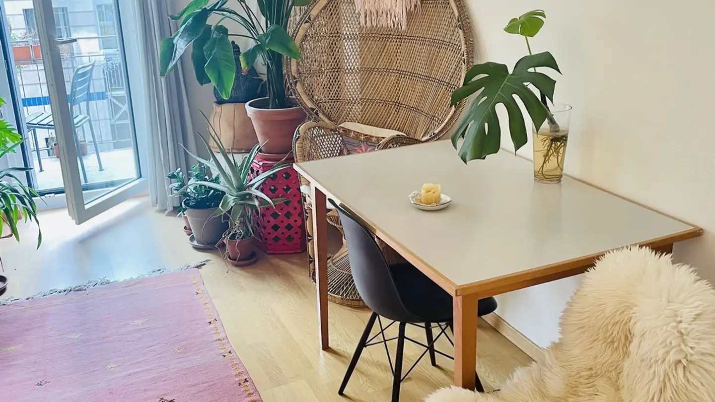 Appartamento in affitto - Hopfenstrasse 6, 8045 Zürich - Foto 3