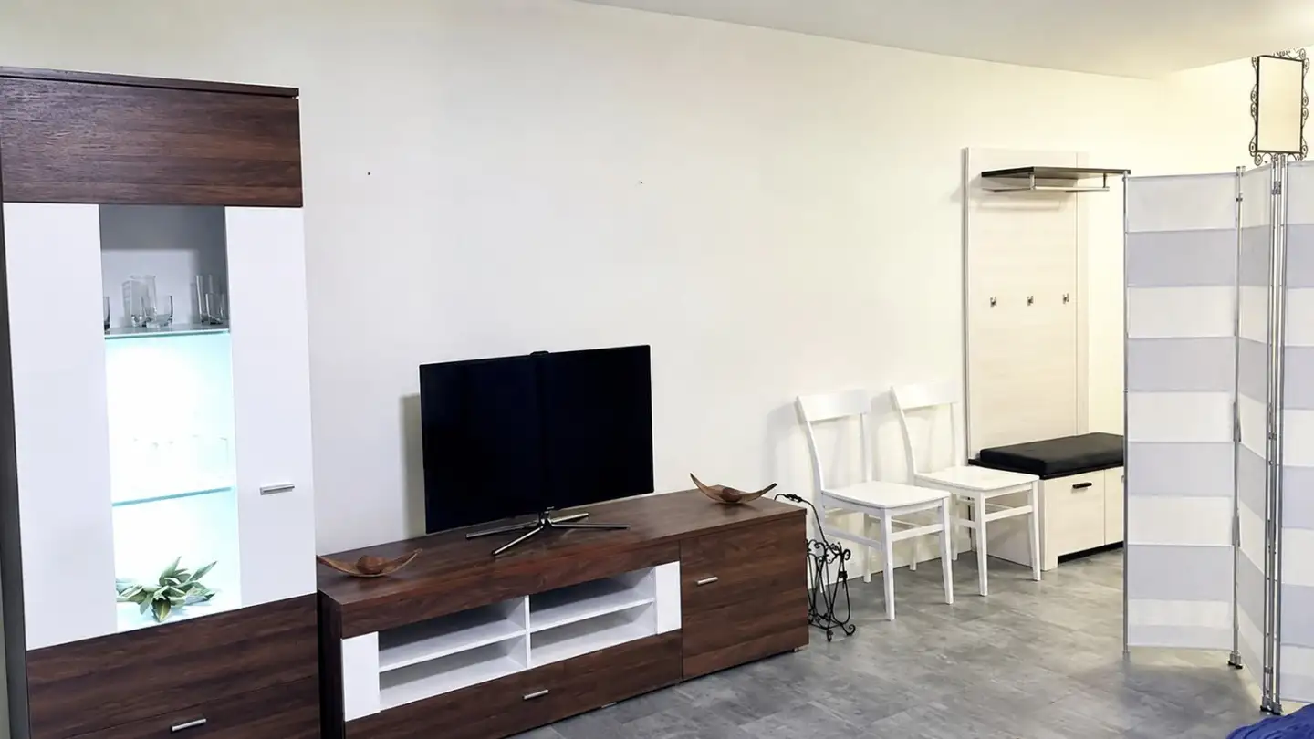 Furnished apartment for rent - Stöckenstrasse 16, 8903 Birmensdorf ZH - Photo 3