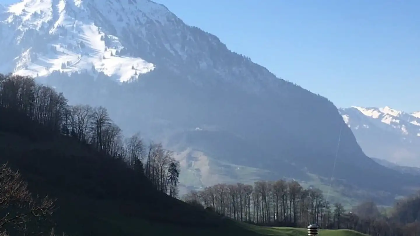 Appartement à louer - Mettlenstrasse 11, 6363 Fürigen