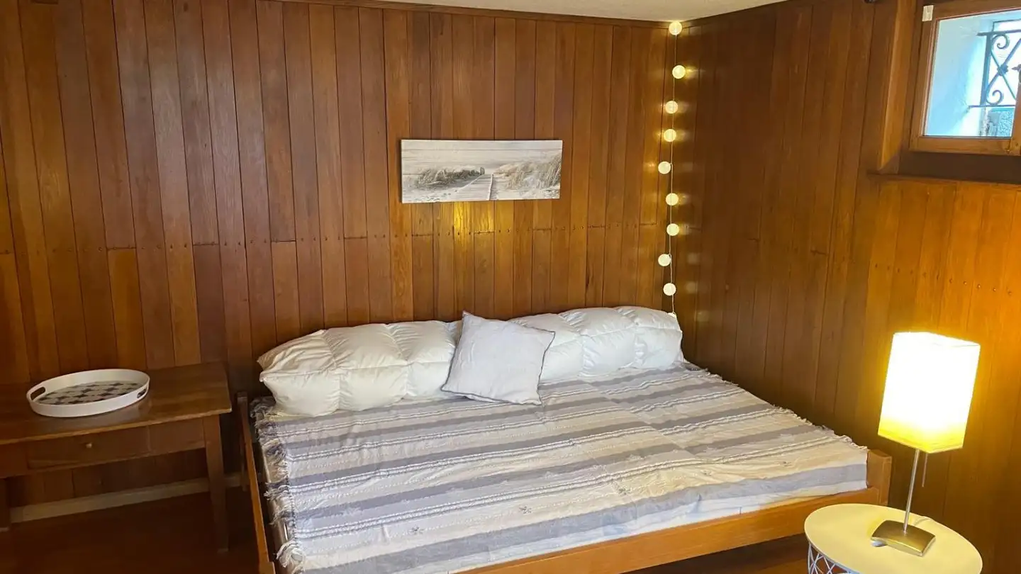 Studio in affitto - Chemin De La Plamatte, 1228 Plan-les-Ouates - Foto 2