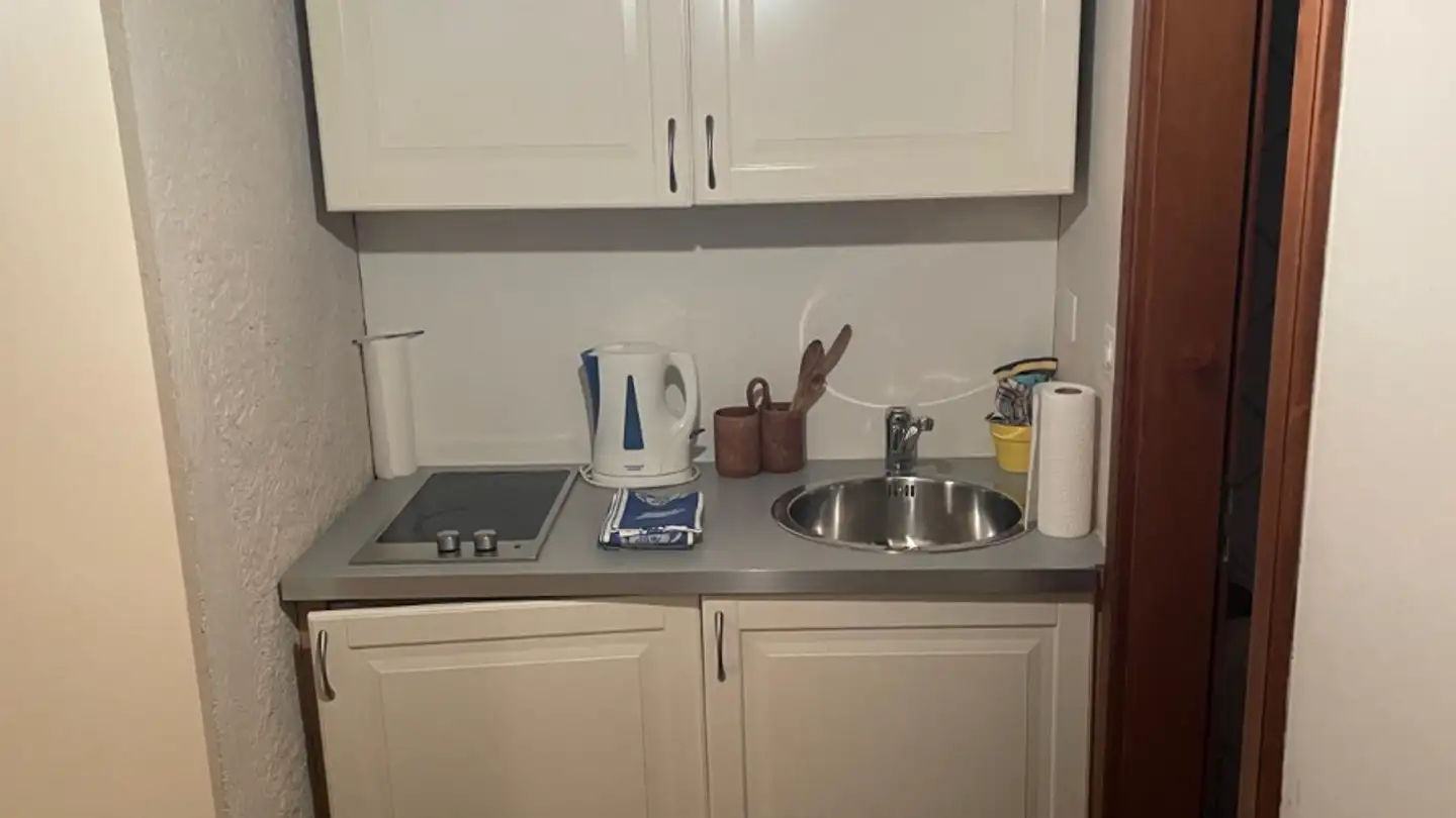 Studio in affitto - Chemin De La Plamatte, 1228 Plan-les-Ouates - Foto 3