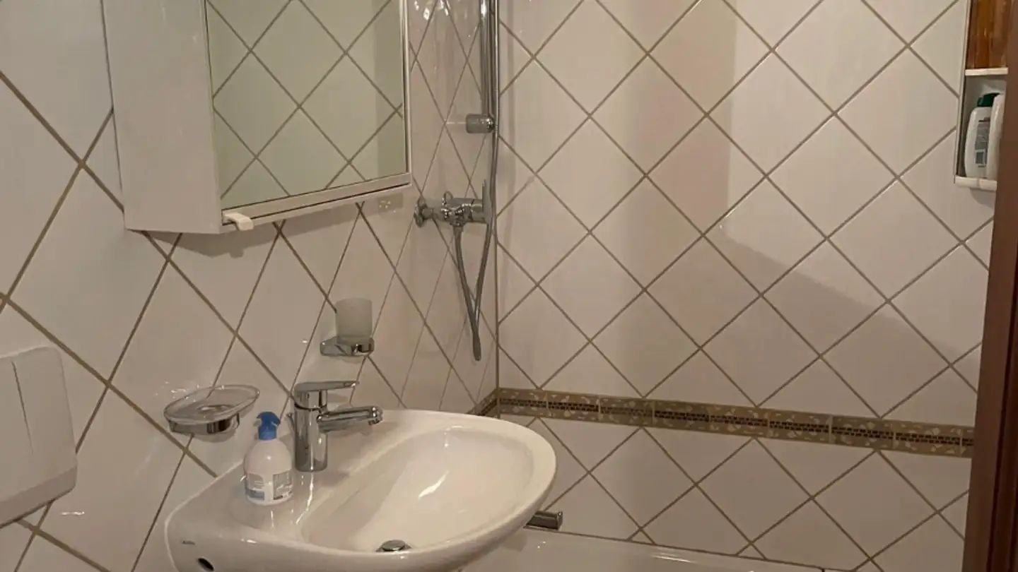 Studio in affitto - Chemin De La Plamatte, 1228 Plan-les-Ouates - Foto 4