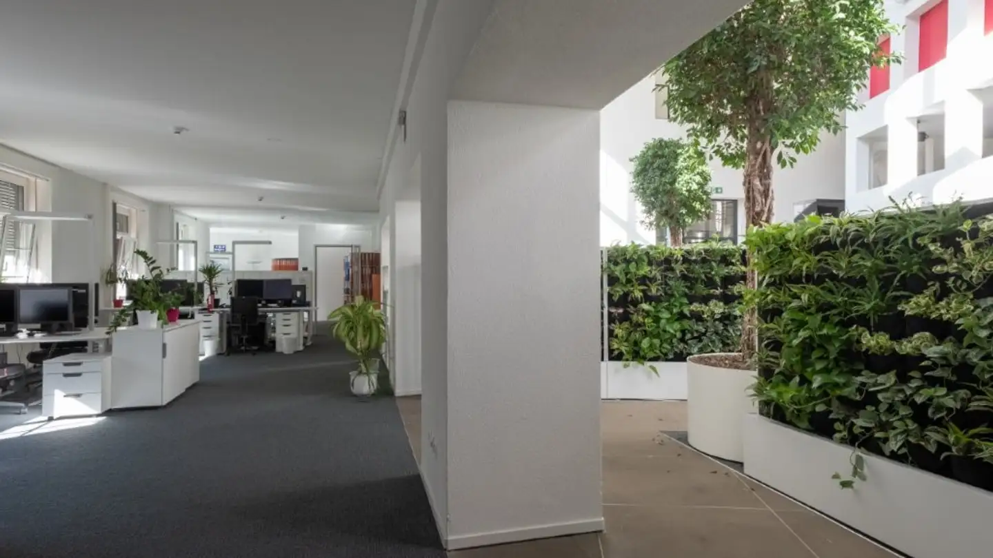 Bürofläche mieten - Marktgasse 8, 4051 Basel - Foto 4