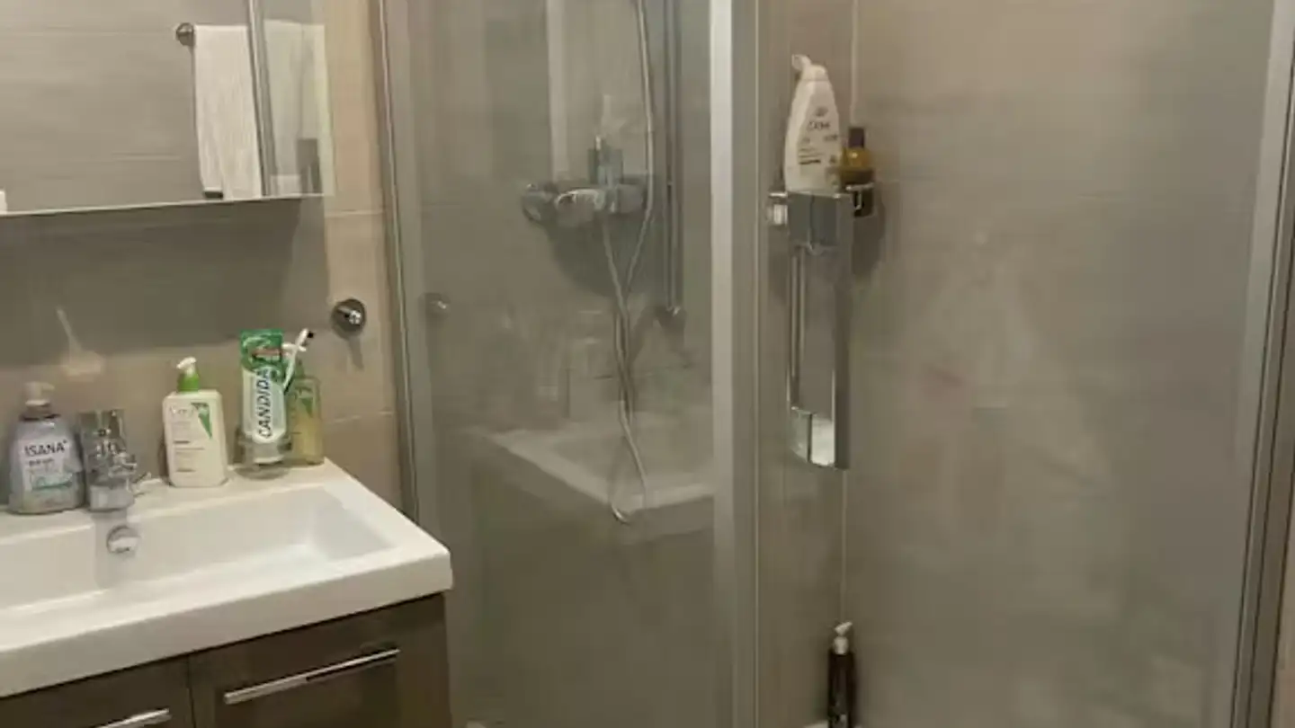 Single house for rent - Route De Colovrex, 1218 Le Grand-Saconnex - Photo 2