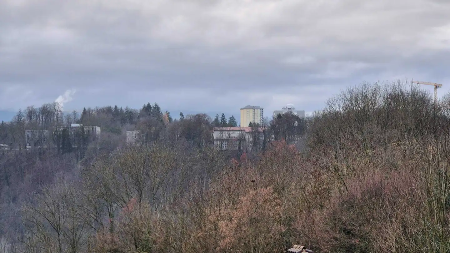 Grande magazzino in affitto - Rue Saint-Pierre / St. Peter-Gasse 18a, 1700 Fribourg - Photo 3