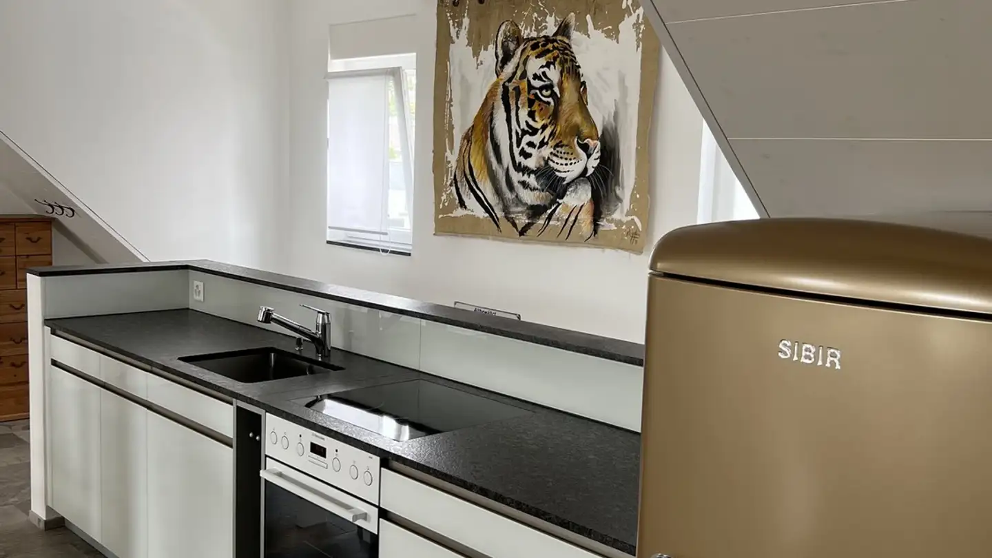 Appartamento ammobiliato in affitto - Mattenstrasse 2, 5430 Wettingen - Foto 3