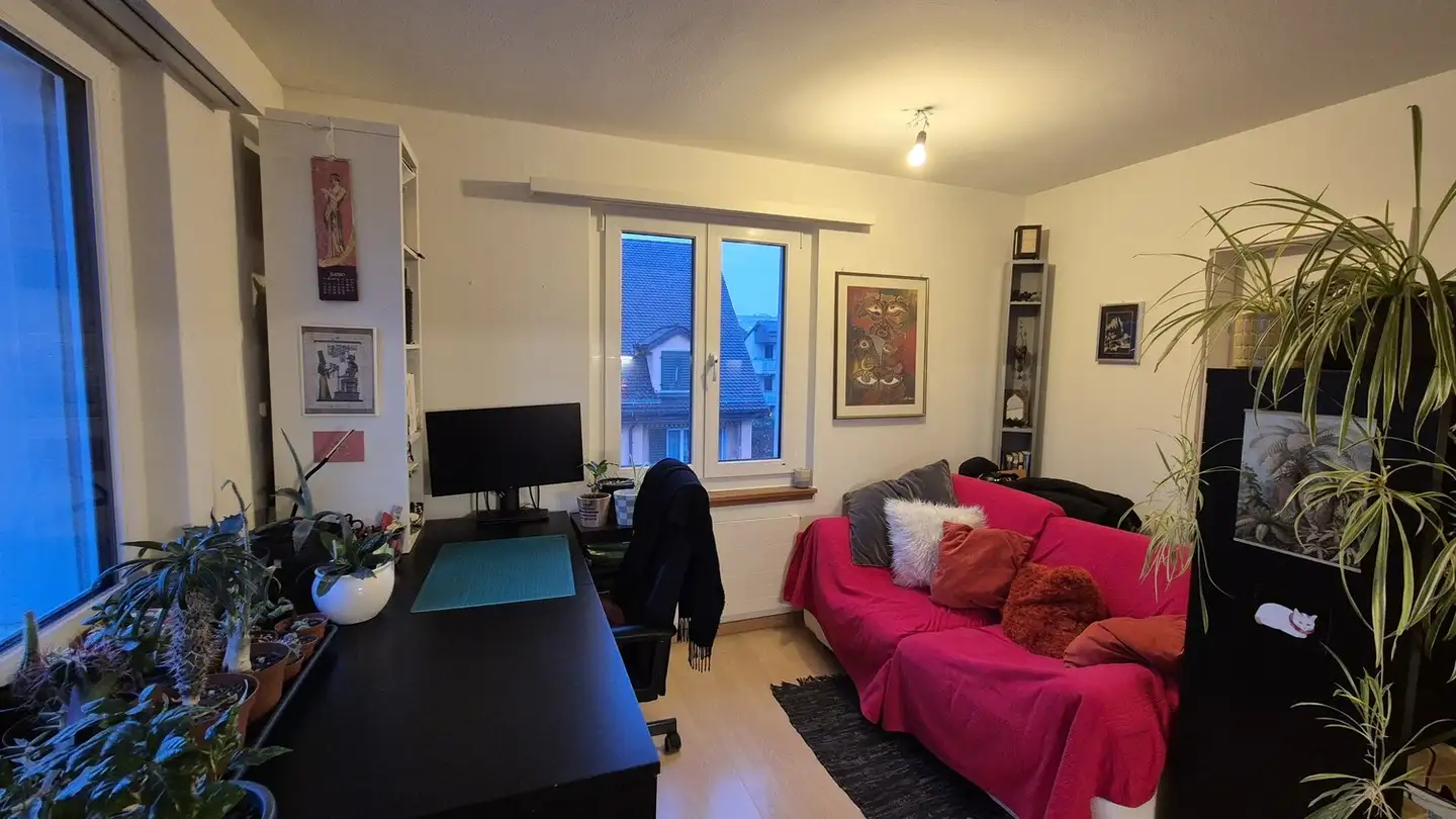 Apartment for rent - Zürcherstrasse 44, 8640 Rapperswil SG - Photo 2