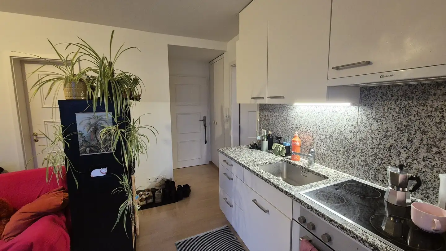 Apartment for rent - Zürcherstrasse 44, 8640 Rapperswil SG - Photo 3