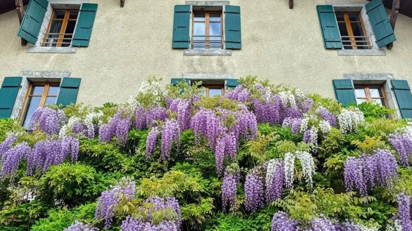 House for sale - 1257 La Croix-de-Rozon - Photo 3