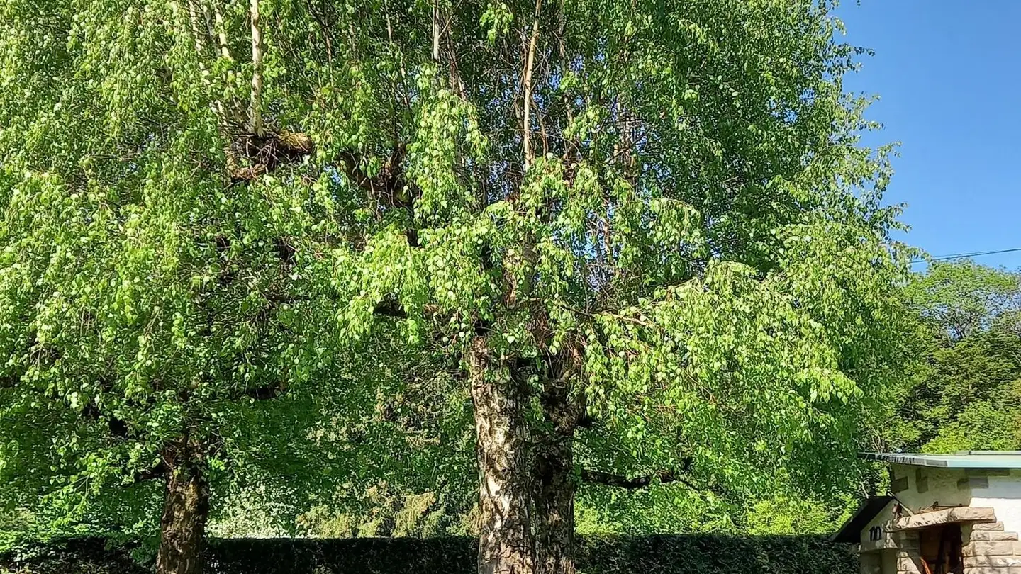 Apartment for rent - 1845 Noville - Photo 4