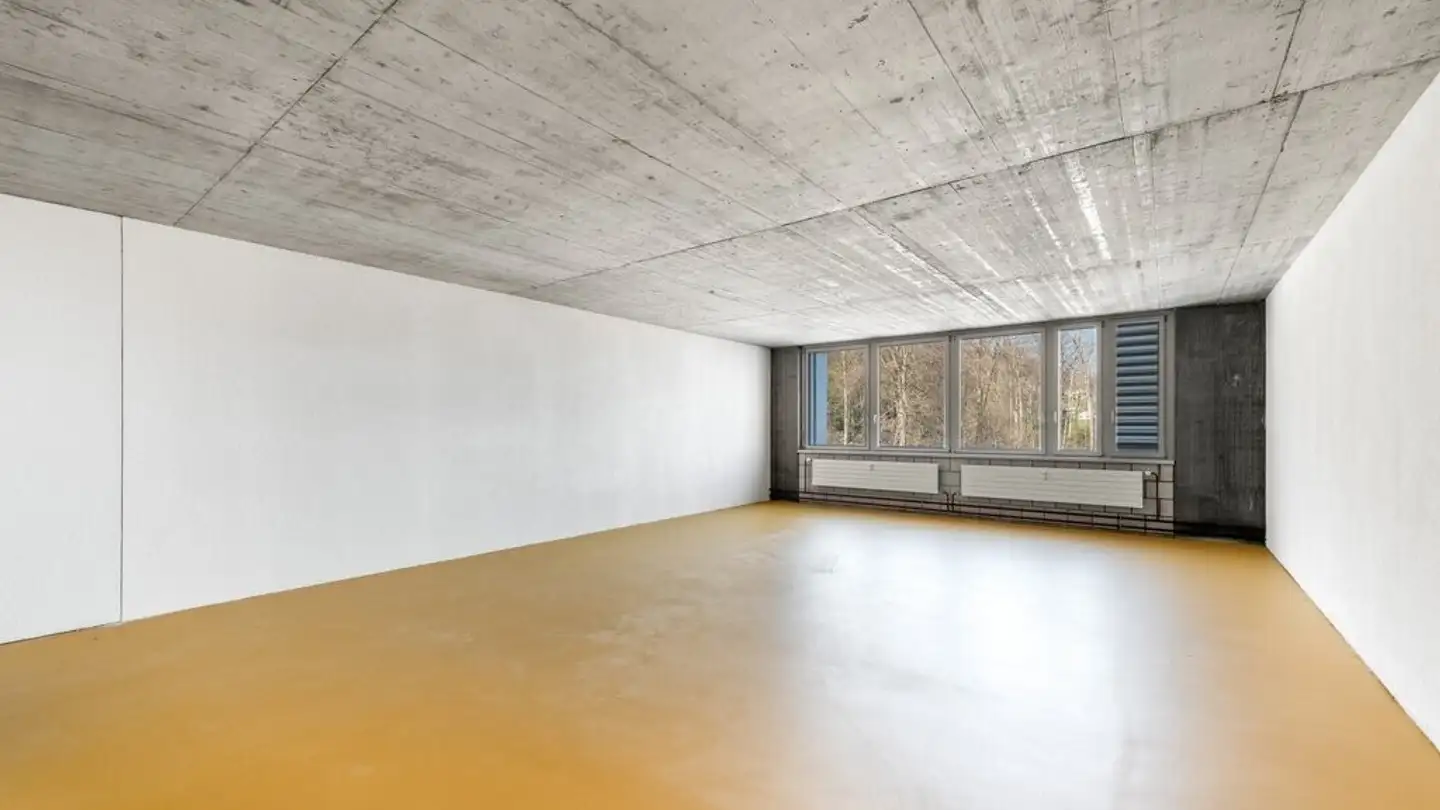 Office space for rent - Schützenstrasse 3, 8800 Thalwil - Photo 3