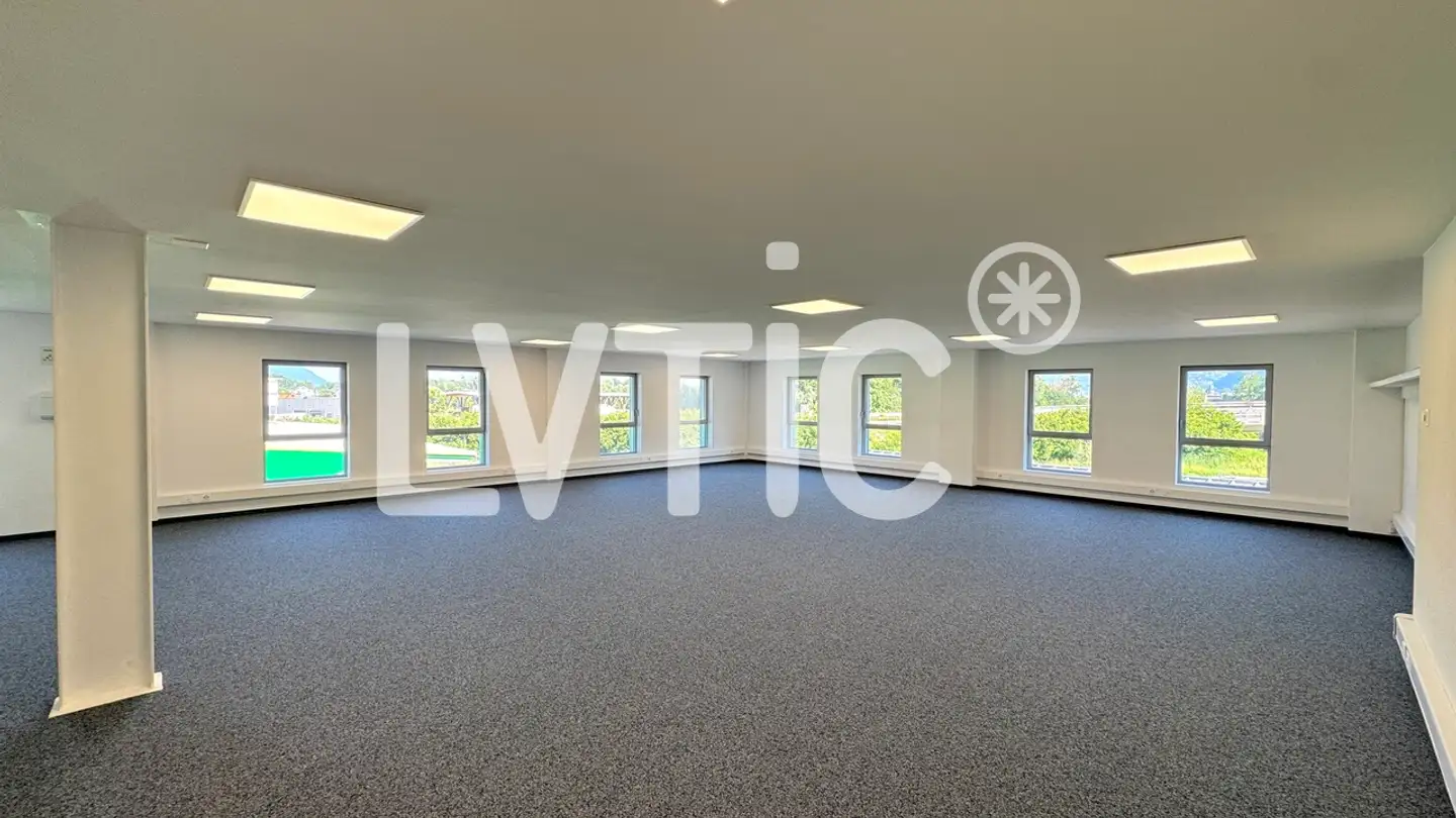 Commercial à louer - 1844 Villeneuve VD