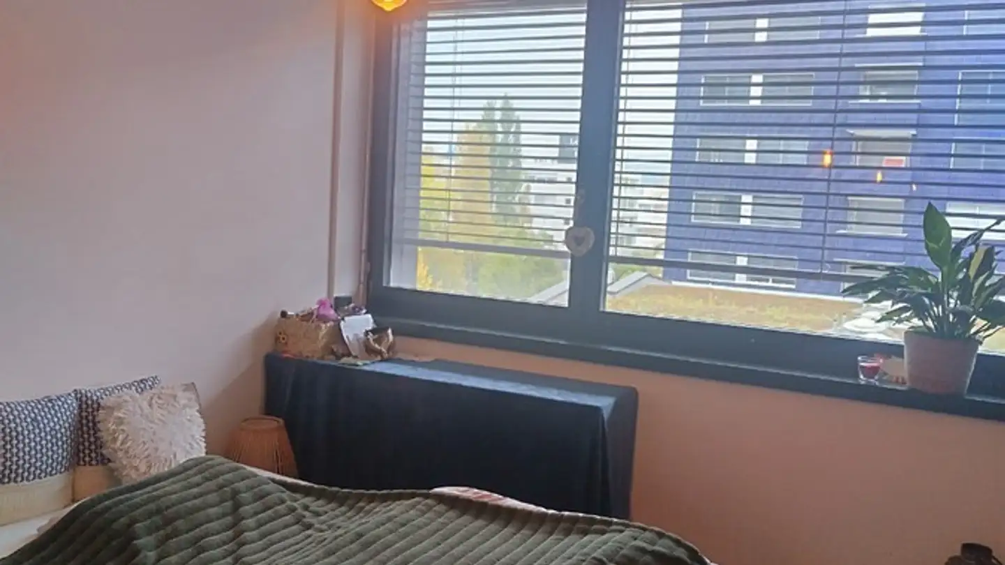 Zimmer mieten - 8952 Schlieren