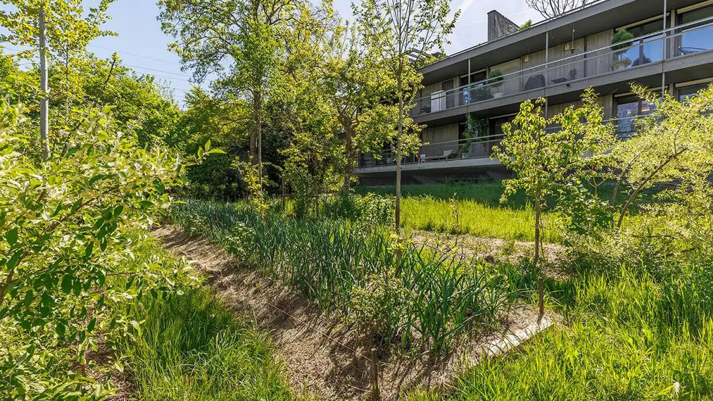 Attique à louer - Leestrasse 33, 8132 Egg b. Zürich