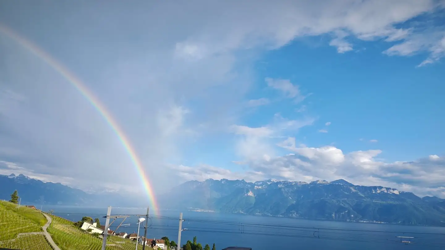 Apartment for rent - 1003 Lausanne