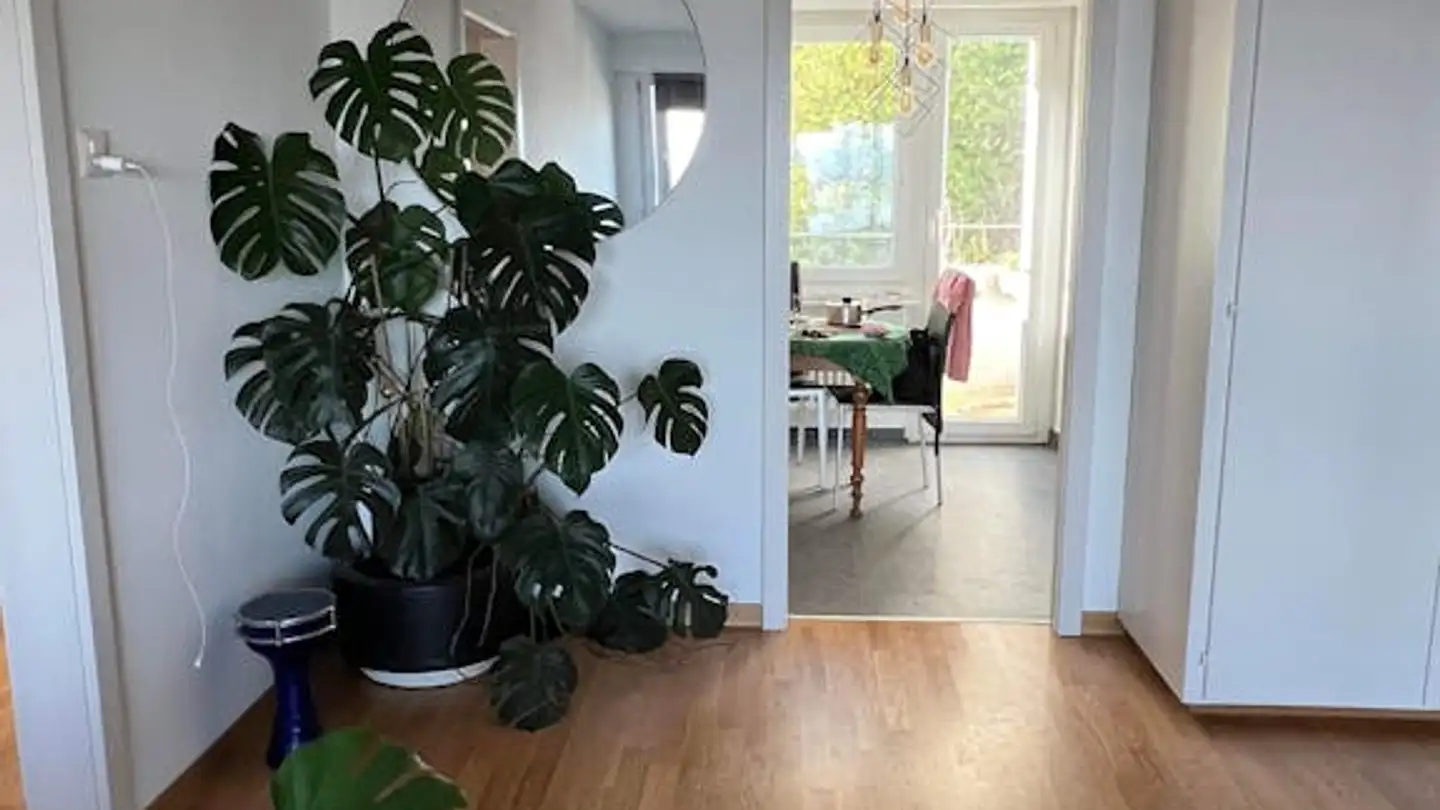 Appartamento in affitto - Rue de L'Orée, 2000 Neuchâtel