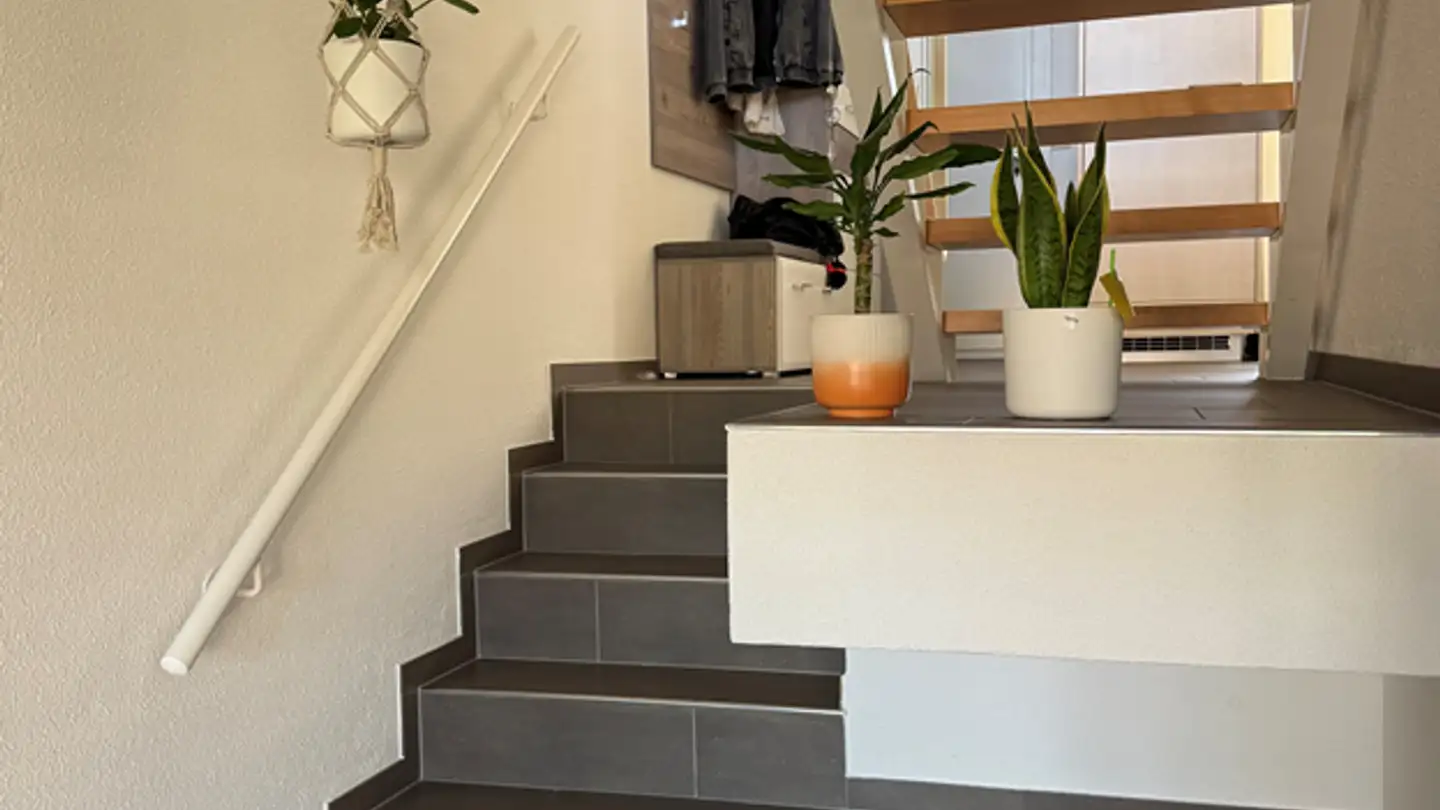 Duplex for rent - Studenmättelistrasse 36, 8903 Birmensdorf ZH