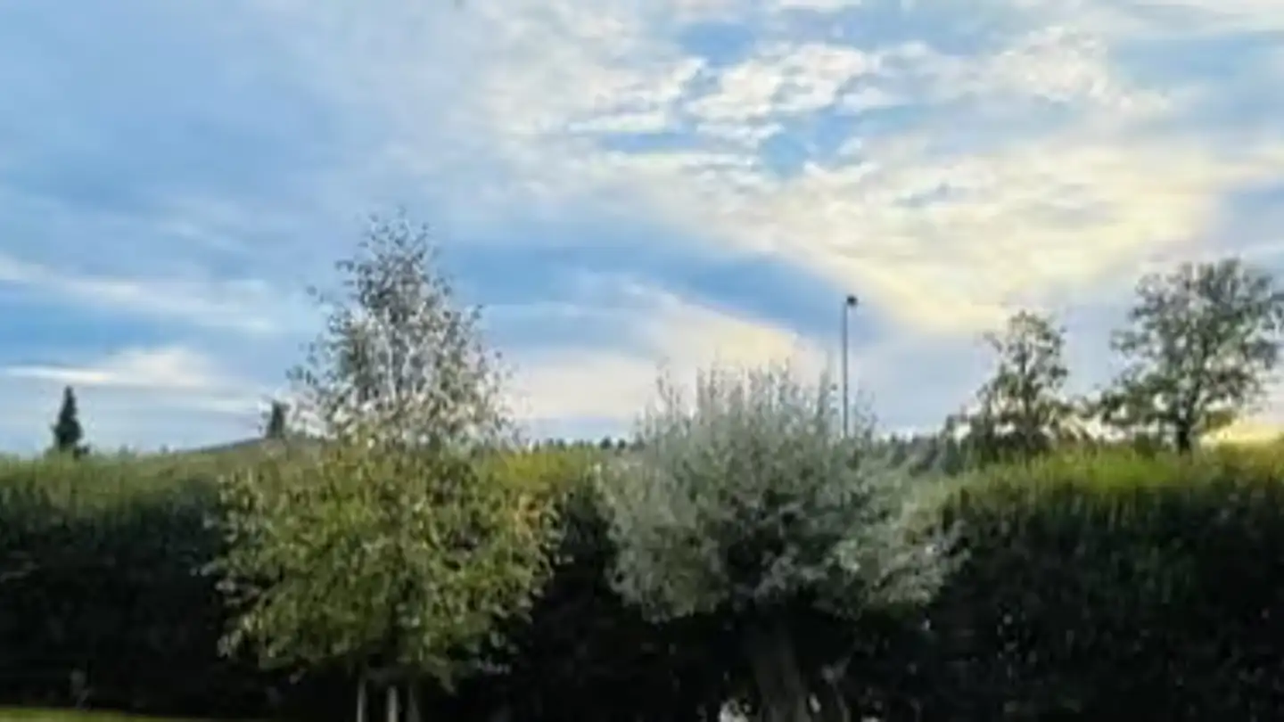 Appartamento in affitto - Engeloostrasse 6, 5621 Zufikon