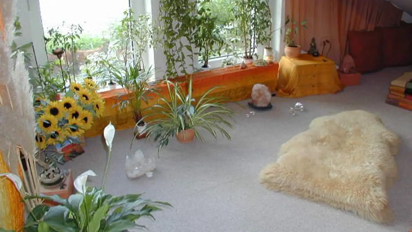 Stanza singola in affitto - 4132 Muttenz - Photo 4