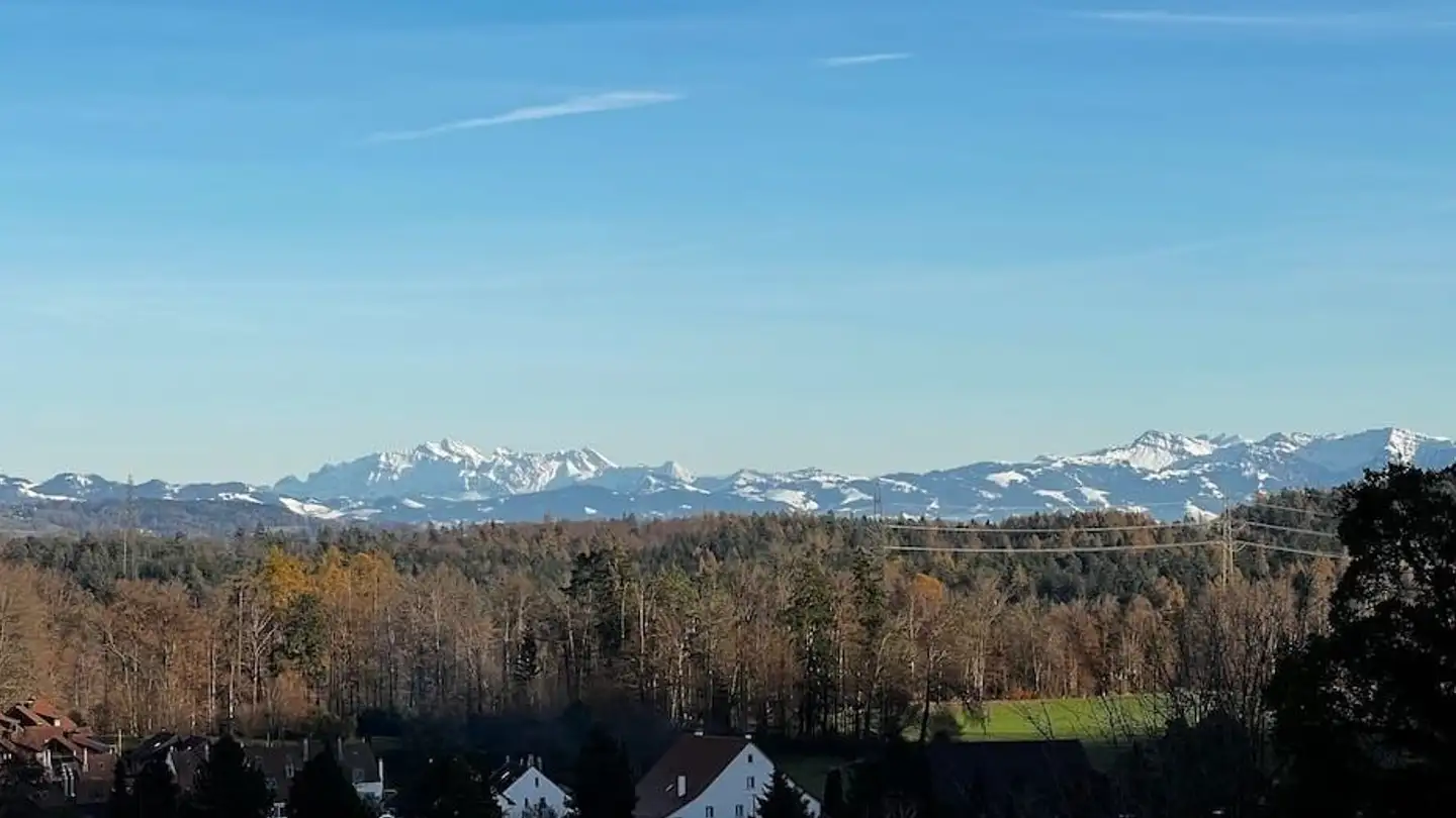 Maison jumelle à vendre - Striempelstrasse, 8135 Langnau am Albis - Photo 2